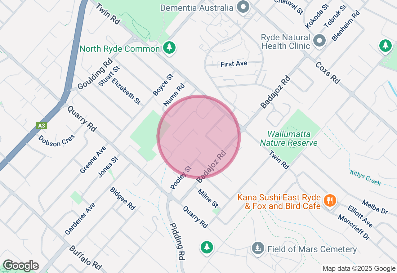 Sweet Succulents Cupcake Decorating Class location