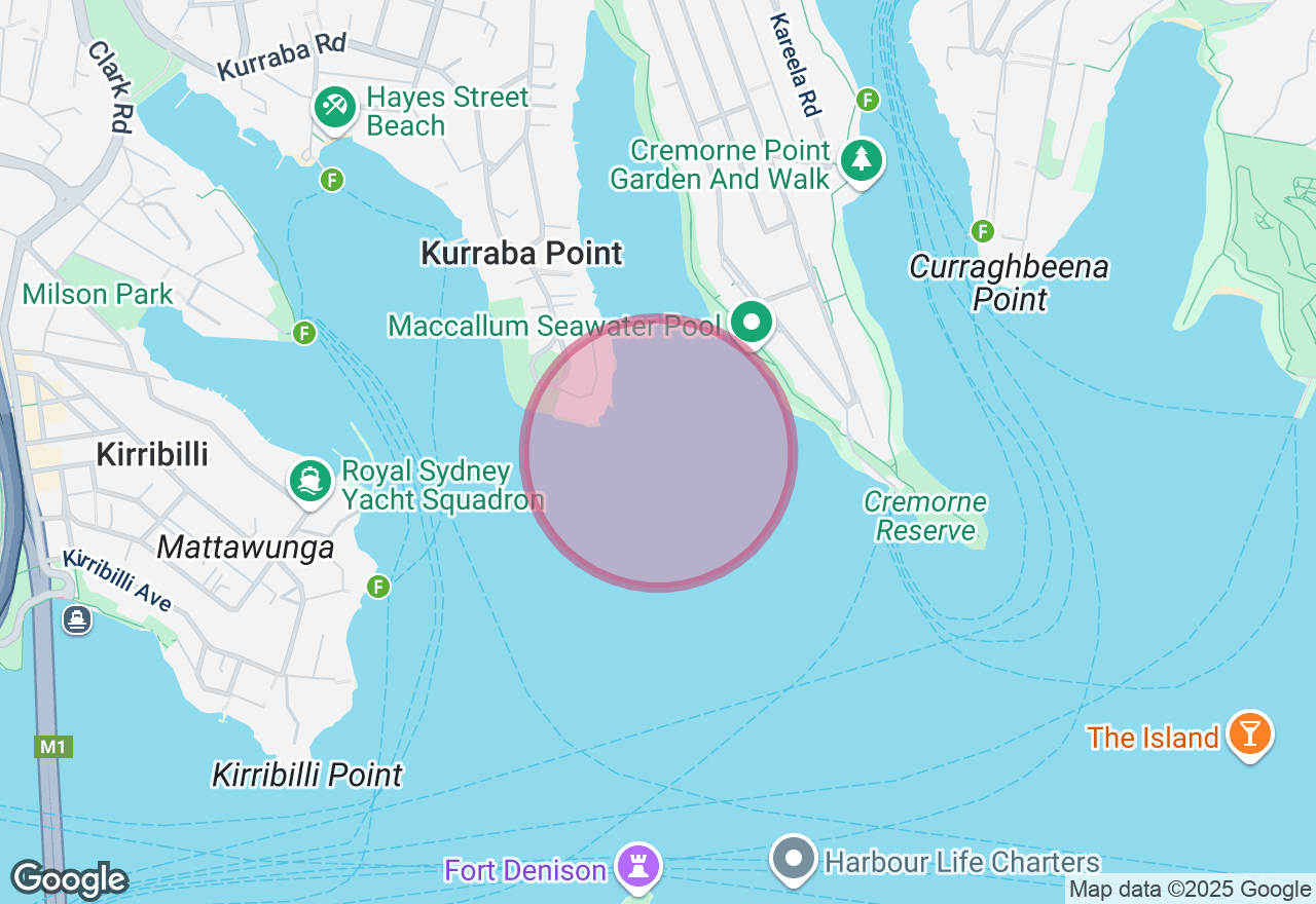 Paint and Sip Class: Waterfront Sydney Opera House Painting location