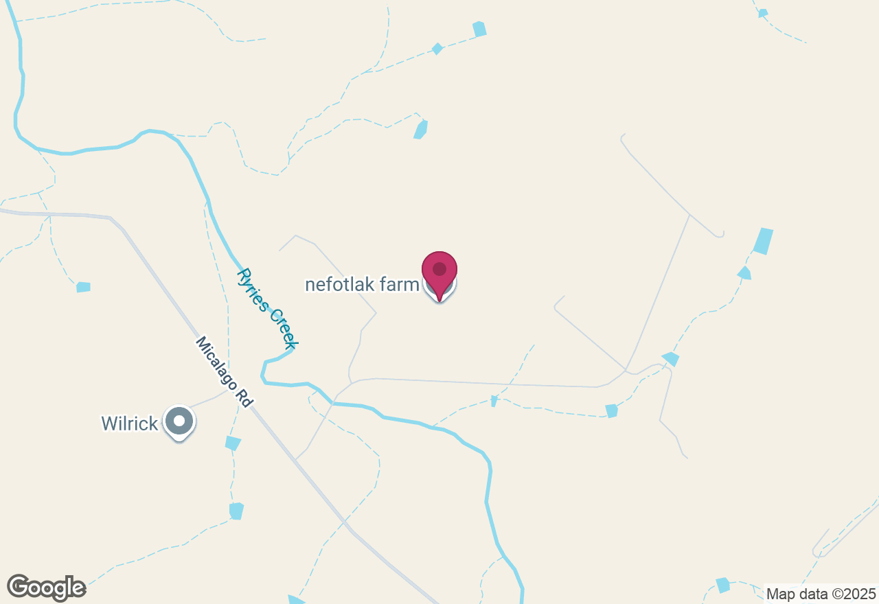 Felting Workshop: Garlands and Decorations location