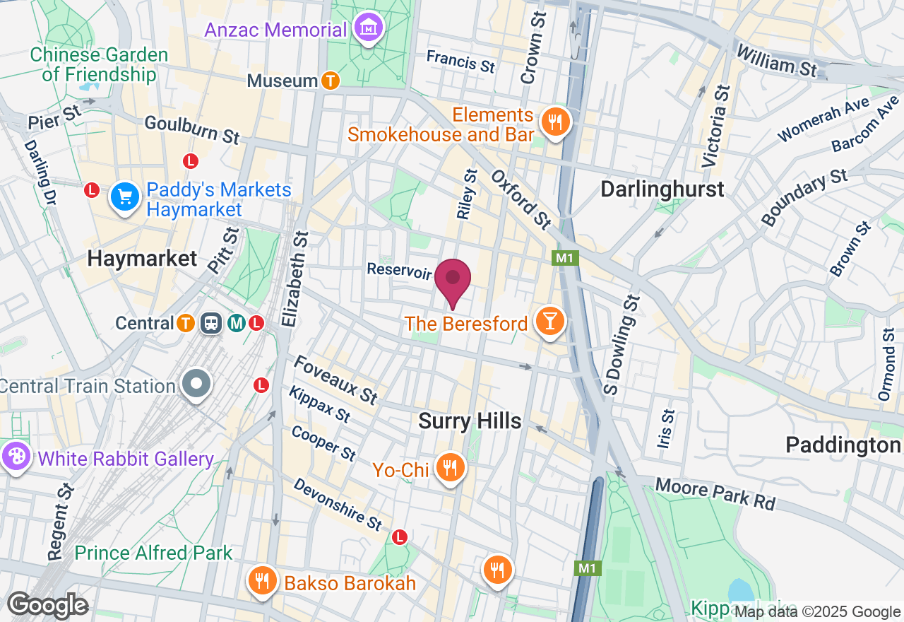 Pet Sculpture Portrait in Clay Workshop location