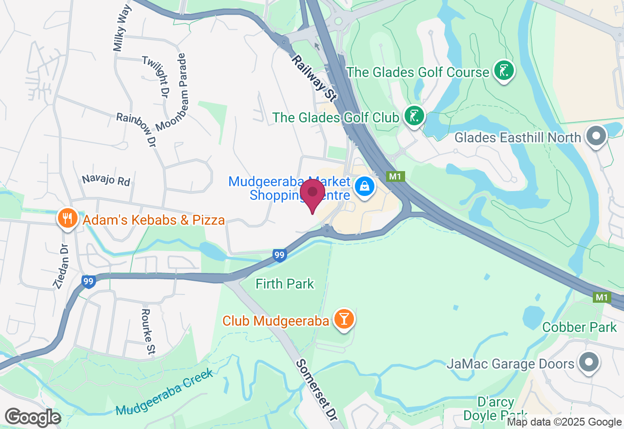 Christmas Cat Painting Class location