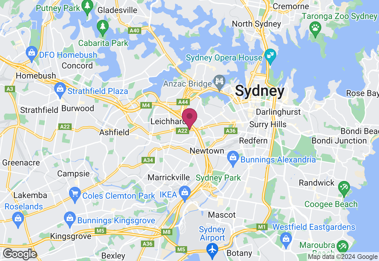 Indoor Plant Class for Beginners: Plants and Pinot location