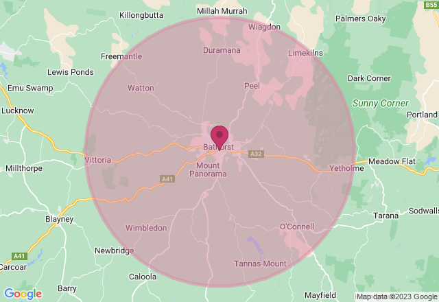 Paint Your Pet Class: Pop Art Style location