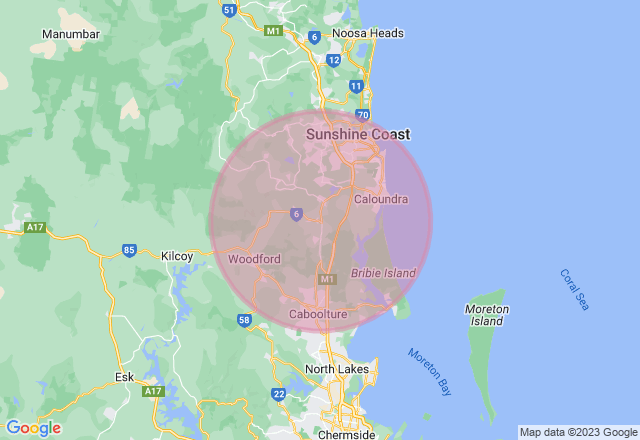 Mobile Paint and Sip Class - Sunshine Coast location