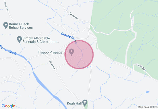 Acrylic Pour Painting Class for Mother's Day location