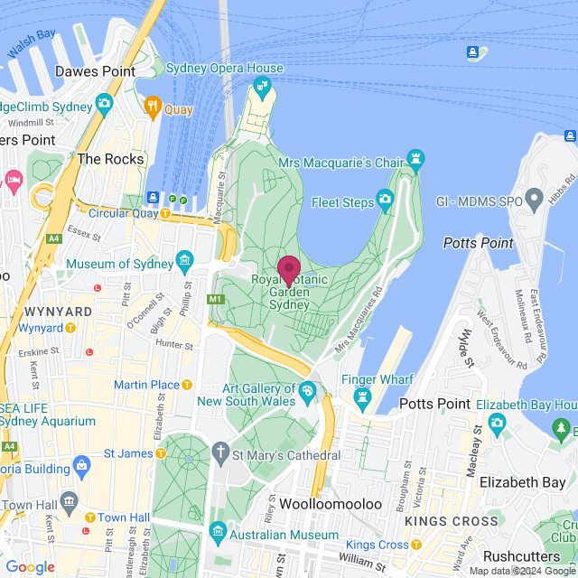 Rose Garden and Pavilion at Royal Botanic Gardens Sydney location