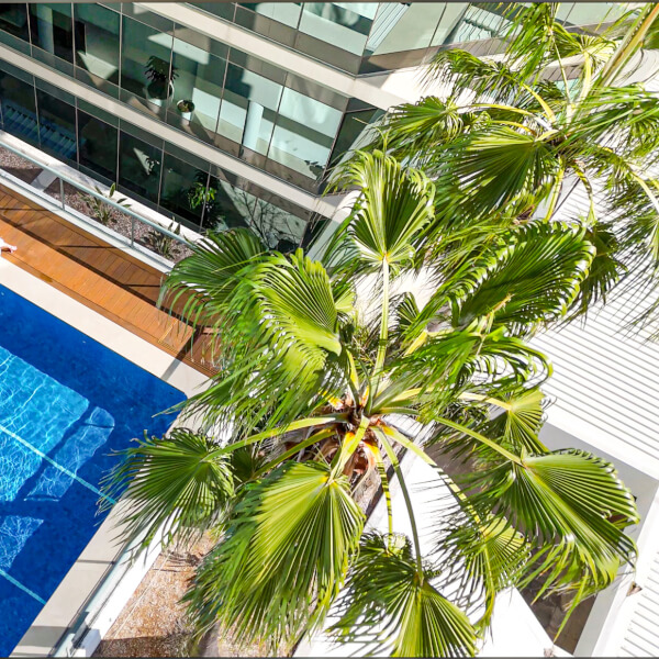 Photo from a Amora Hotel Brisbane workshop