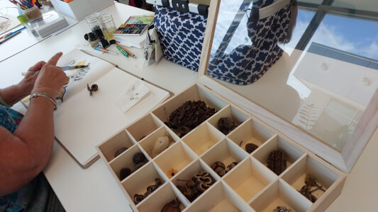 Experiences experience