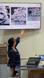 Experiences class by Art from the Urban Wilderness