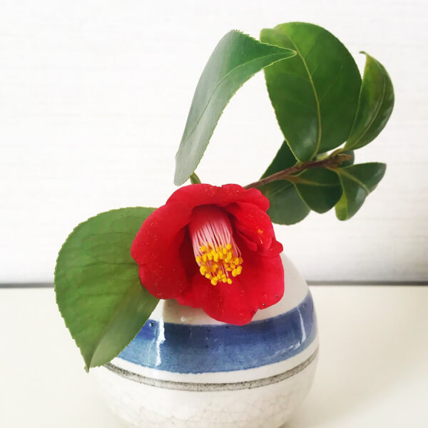 Photo from a Aya Shibata workshop