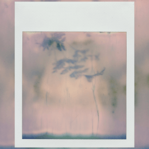 Painting class by Bianca Hoffrichter