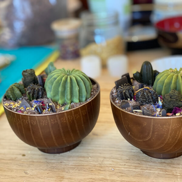 Cooking classes