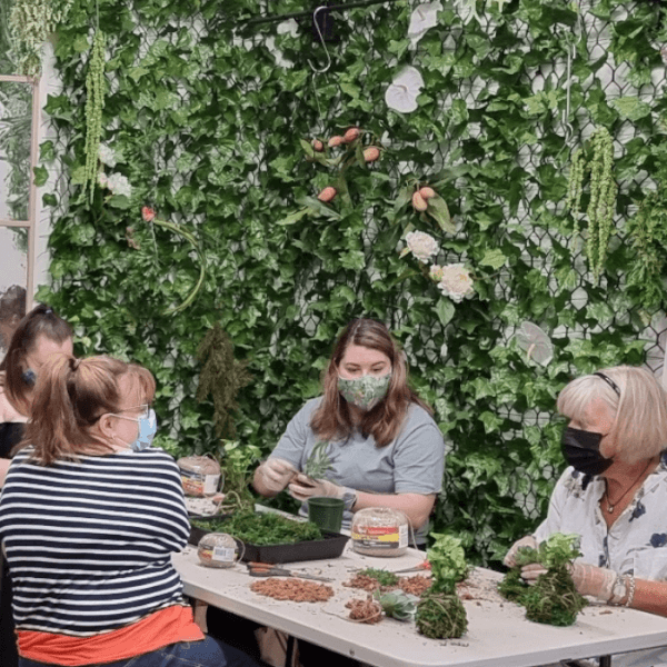 Terrarium class by Botanista