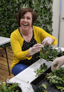 Terrarium workshops
