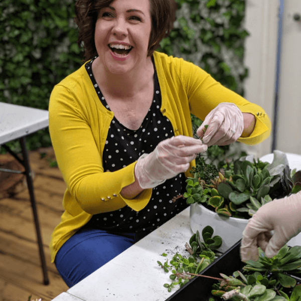 Terrarium workshops