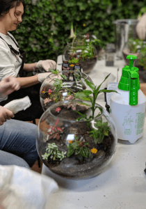 Terrarium classes