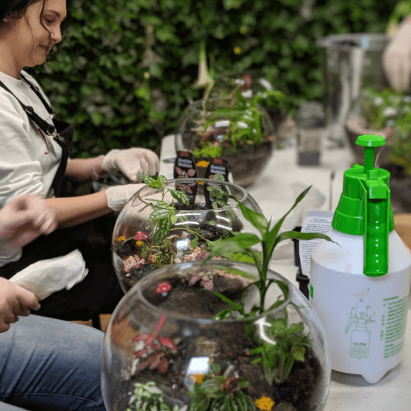 Terrarium classes
