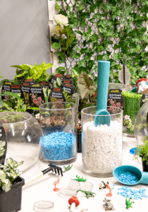 Terrarium experience