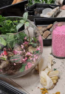 Terrarium class by Botanista