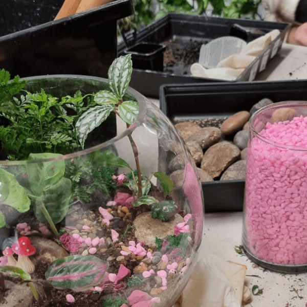 Terrarium class by Botanista
