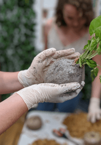 Terrarium class by Botanista