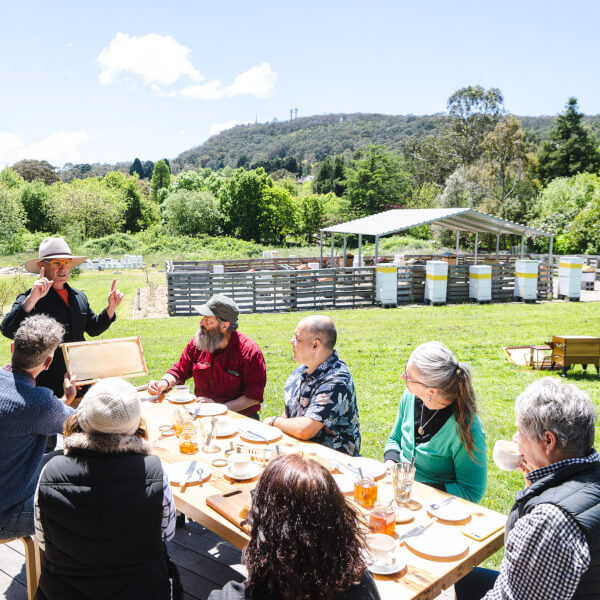Food and Drink Tasting experiences