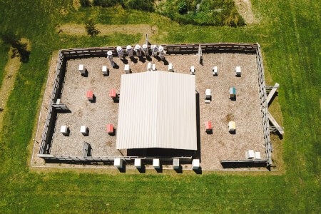 Gardening experience