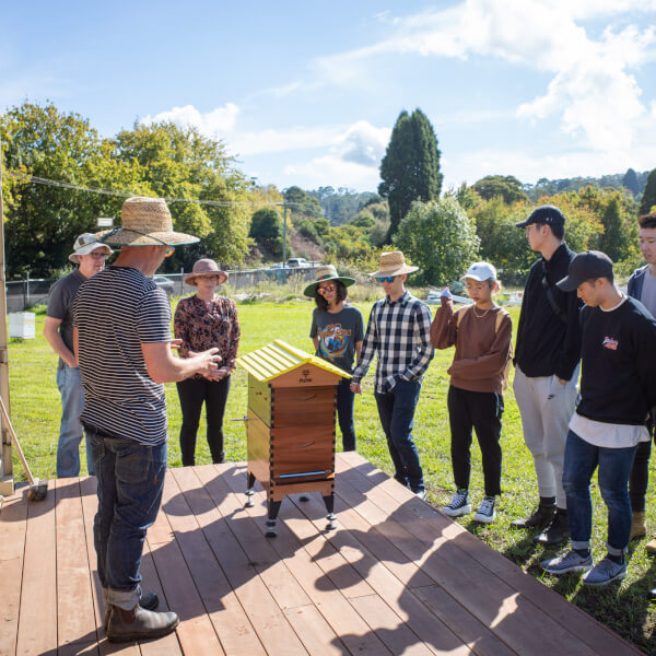 Food and Drink Tasting experiences