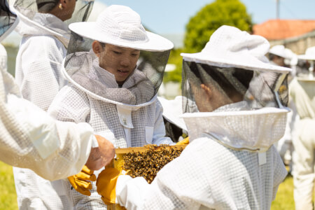 Gardening class by Bowral Honey Farm