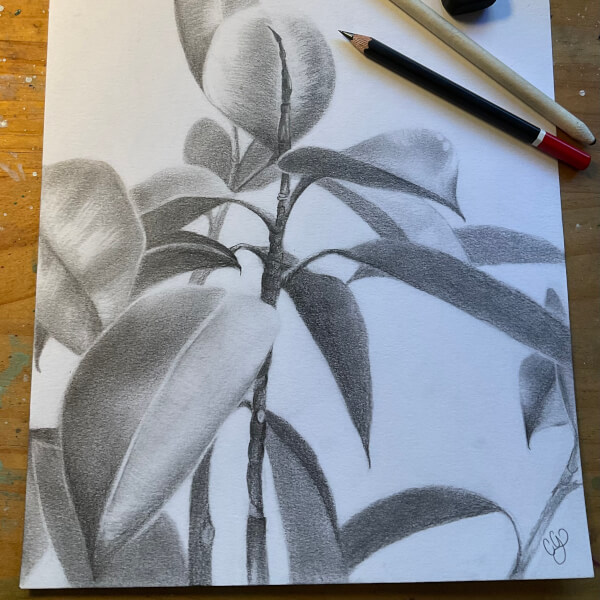 Painting workshops, Nambour