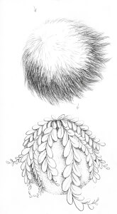 Painting class by Cassie Gibbs Art