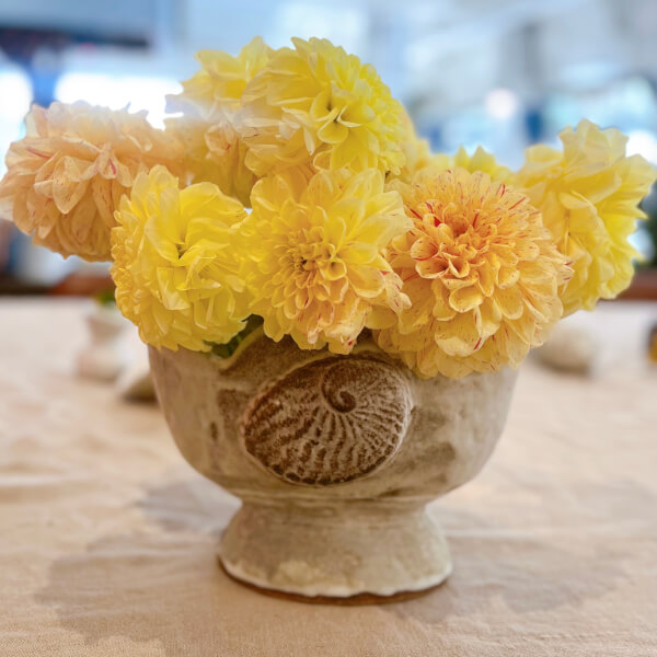 Photo from a Catherine Field workshop