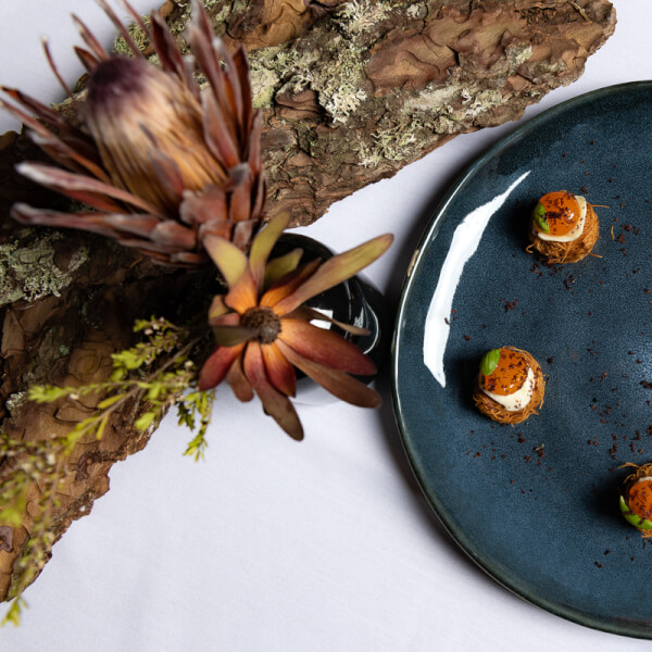 Photo from a CHEFIN workshop