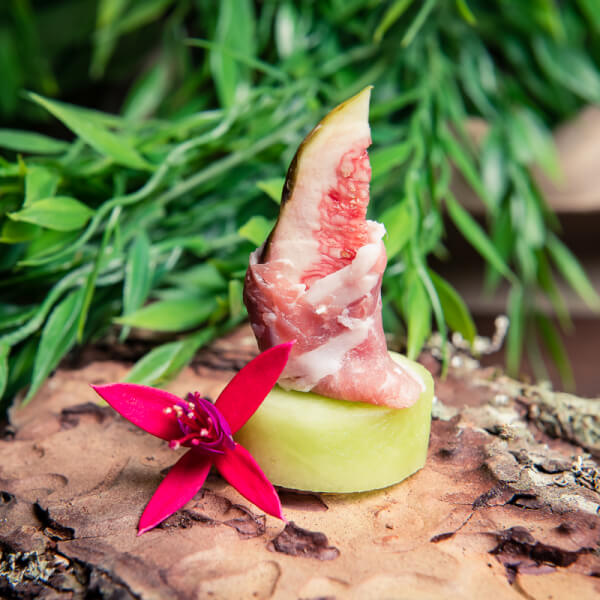 Photo from a CHEFIN workshop