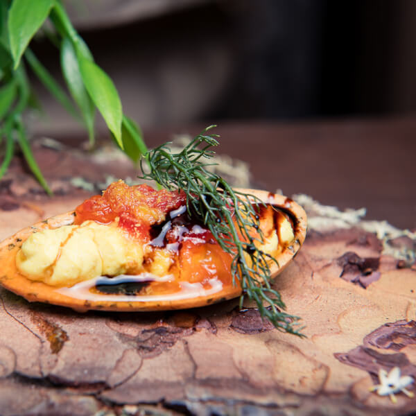 Photo from a CHEFIN workshop