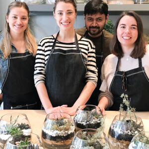 Terrarium workshops