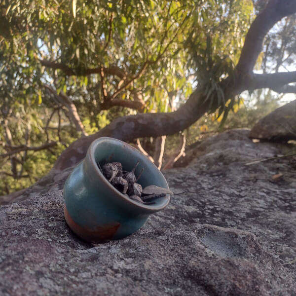 Photo from a Community Clay workshop
