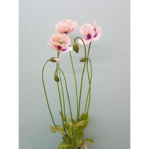 Pottery class by Craftenly Australia