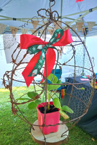 Sculpture and Assemblage experience