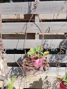 Sculpture and Assemblage course