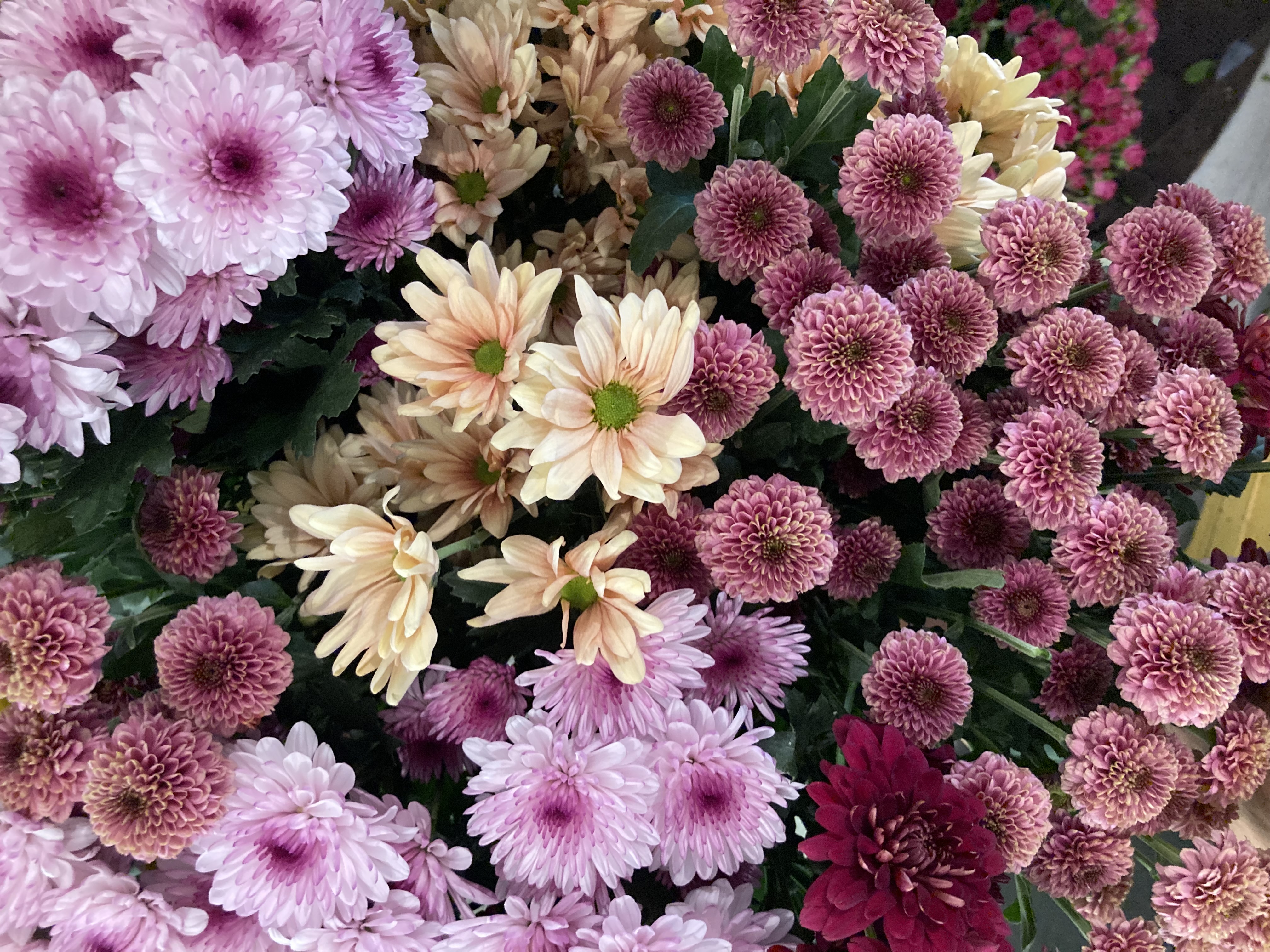 Floristry experience