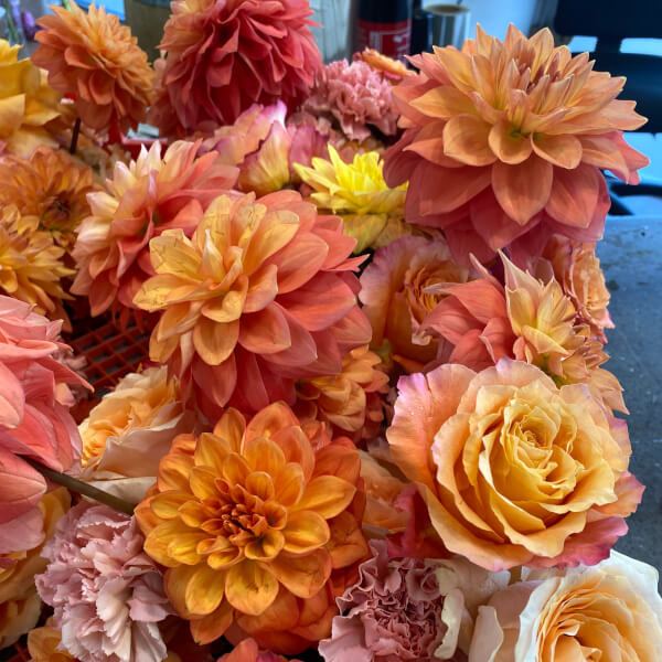Photo from a Gypsy & the Tinker workshop