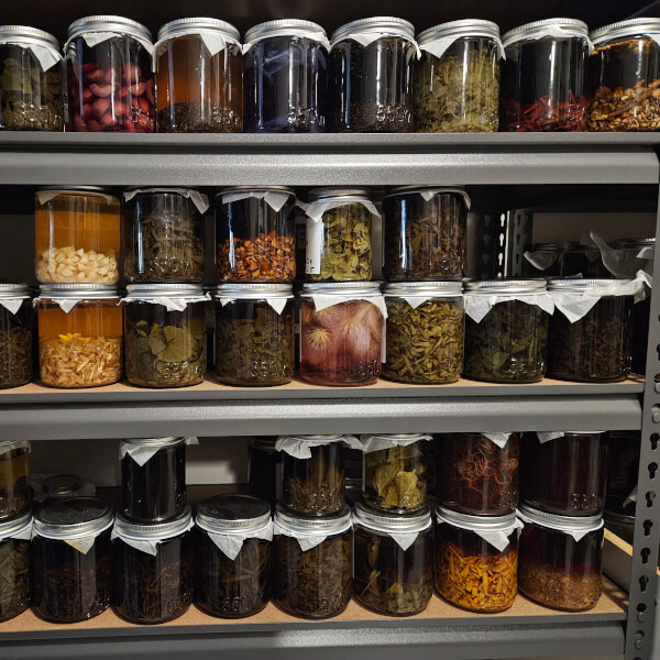 Pickling and Fermentation classes, Upper Caboolture