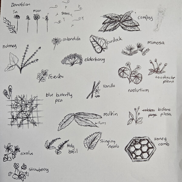 Pickling and Fermentation classes, Upper Caboolture