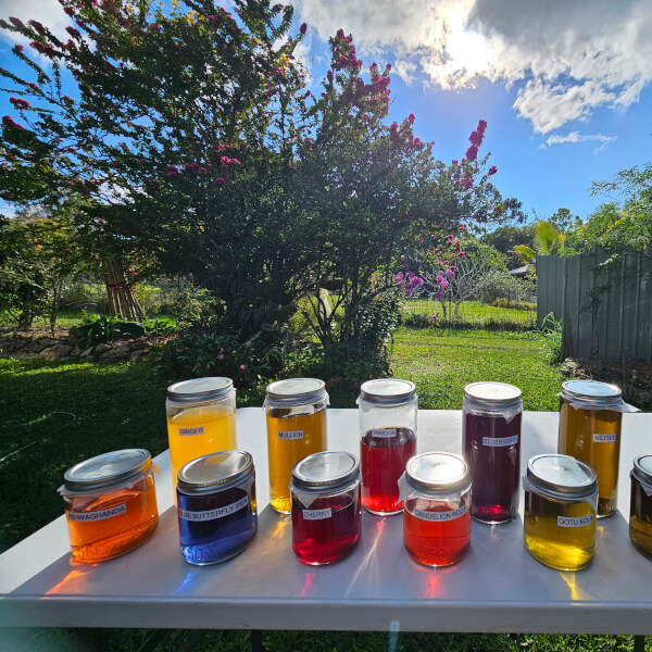 Pickling and Fermentation experience
