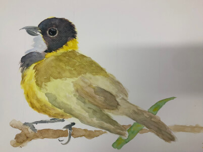 Floristry experience