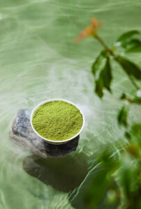 Pottery class by Heer Tea