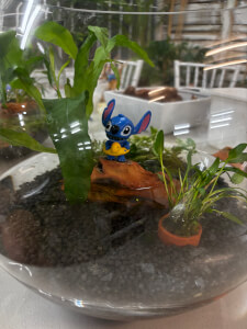 Terrarium class by I Wet My Plants Garden & Gifts