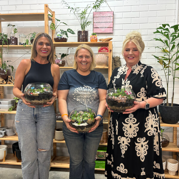 Terrarium experience