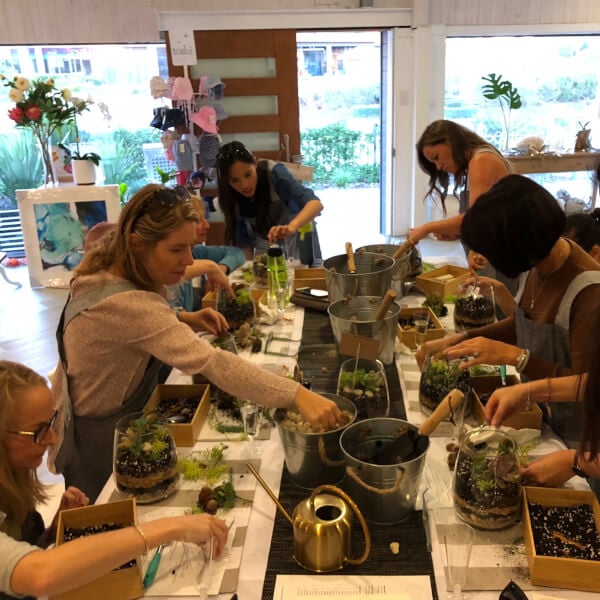 Photo from a Joy Succulents workshop